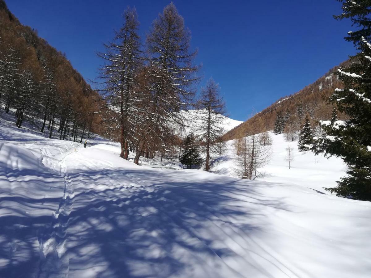 Agritur Volpaia Rooms And Apartments Вермилио Екстериор снимка